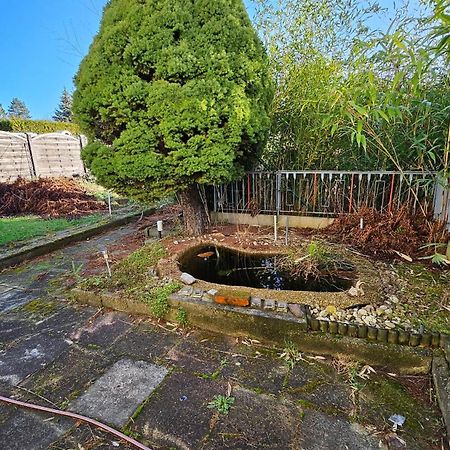 Haus Mit Garten Halle  ภายนอก รูปภาพ